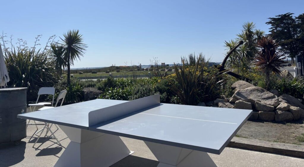 ping pong e1744808873758 - Activités et services